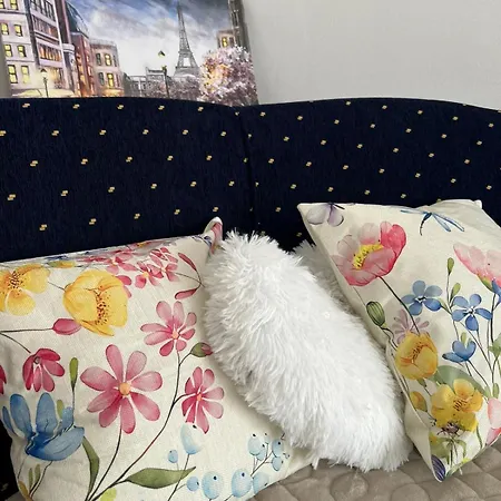 Apartman Dream *